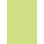 Risma cartoncino Canson Vivaldi A4, 185g. Verde Mela 27 (conf. 50 fogli)