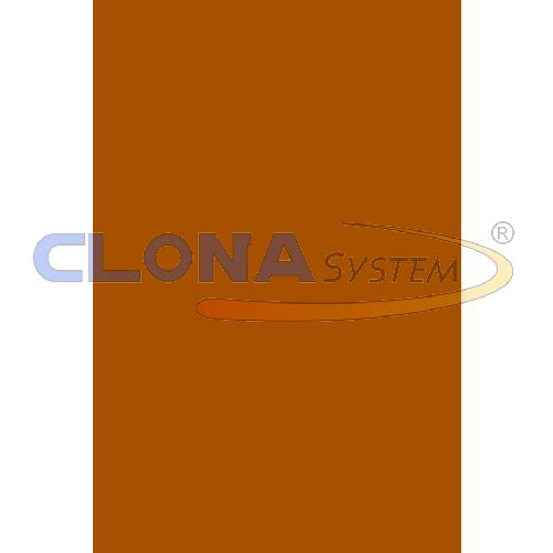 Risma cartoncino Canson Vivaldi A4, 185g. Cioccolato 34 (conf. 50 fogli)
