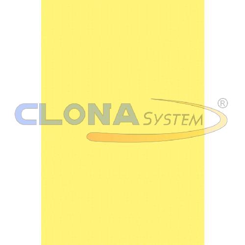 Risma cartoncino Canson Vivaldi A4, 185g. Giallo Paglia 03 (conf. 50 fogli)