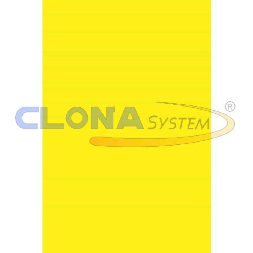 Risma cartoncino Canson Vivaldi A4, 185g. Giallo Canarino 04 (conf. 50 fogli)