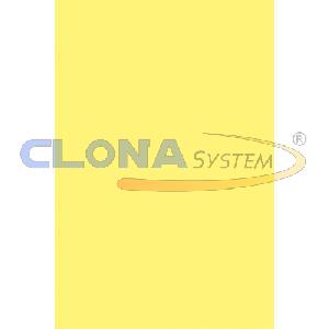 Risma cartoncino Canson Vivaldi A4, 185g. Giallo Paglia 03 (conf. 50 fogli)