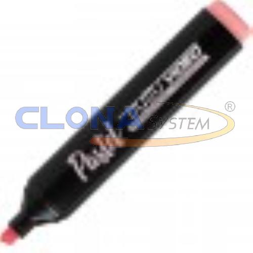 EVIDENZIATORI TRATTO VIDEO PASTEL FILA ROSA POMPELMO