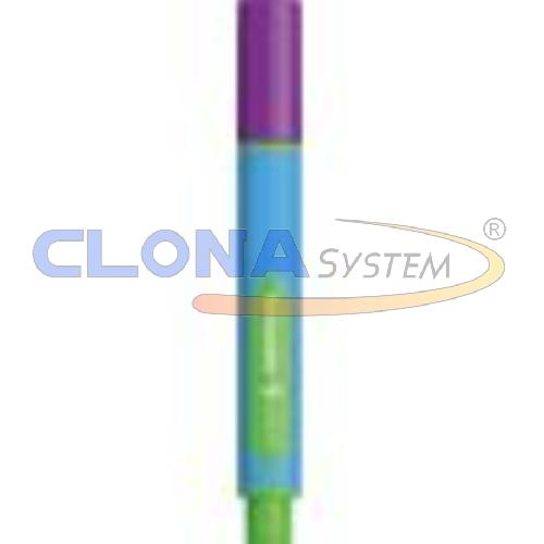 PENNA A SFERA SCHNEIDER LINK-IT SLIDER VIOLA