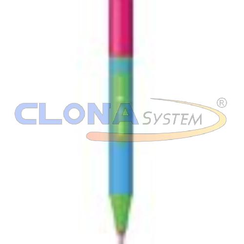 PENNA A SFERA SCHNEIDER LINK-IT SLIDER ROSA
