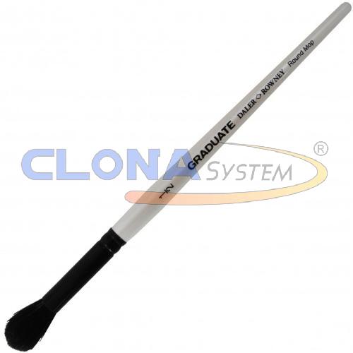 PENNELLO DALER ROWNEY GRADUATE PUNTA BOMBASINO OVALE MANICO CORTO N°1/2'' SETOLA IN PELURIA DI CAPRA SCURA