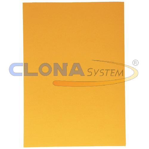 Risma cartoncino Canson Vivaldi A4, 185g. Cuoio 32 (conf. 50 fogli)