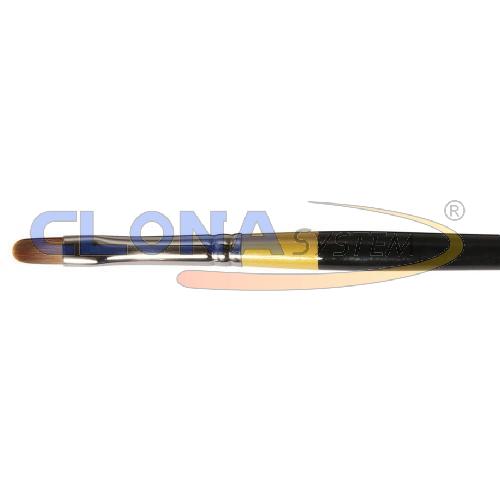 PENNELLO DALER ROWNEY GRADUATE PUNTA PIATTA CORTA MANICO LUNGO FILBERT SYSTEM 3 N°6 SETOLA IN PELURIA SINTETICA